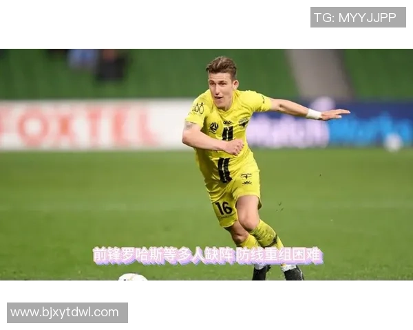 西悉尼流浪者对阵惠灵顿凤凰精彩赛事回顾与分析视频分享